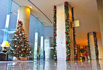 Dr Christmas Set Decor